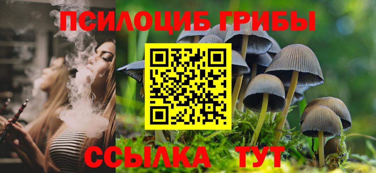 Галлюциногенные грибы Cubensis  Галлюциногенные грибы ЛСД  Вход с VPN  Нурлат 